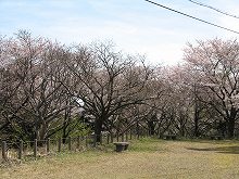 諸上寺公園